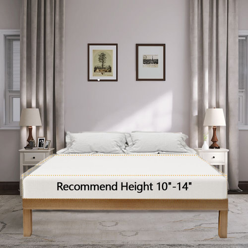 Hokku Designs Aleighana 12" Solid Wood Bed Frame without Headboard
